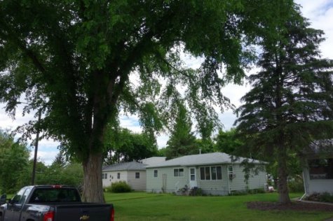 our yard