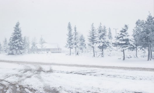 Blizzard
