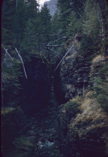 Stream