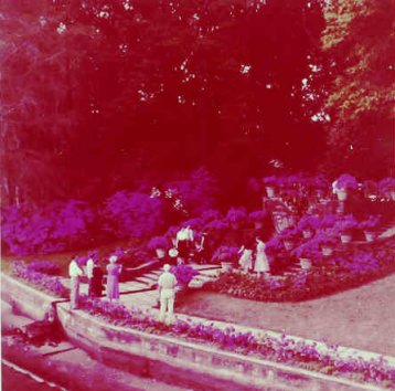 Bellingrath scene