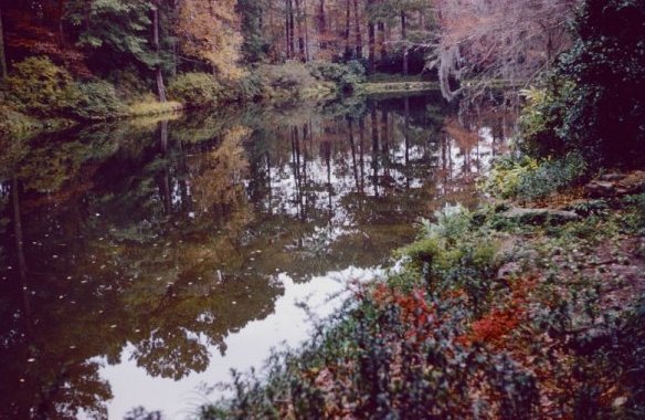 Bellingrath scene