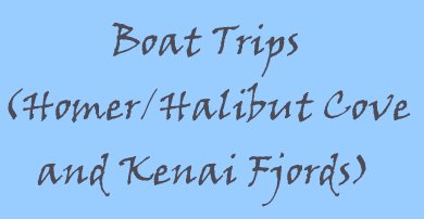boat trips