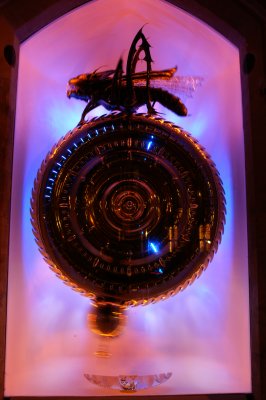 cricket in the window