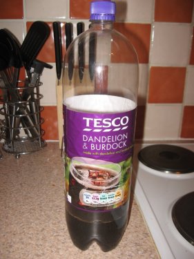 dandelion soda
