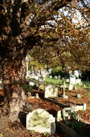 collection of headstones