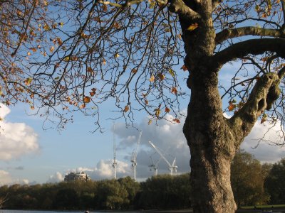 Hyde Park in November