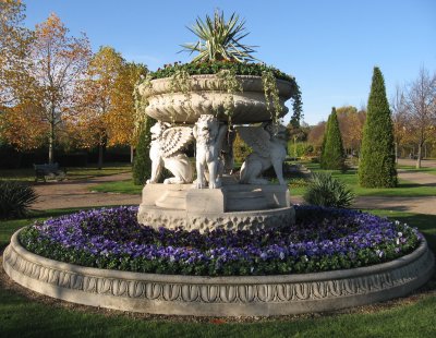 pansies in Regent's Park