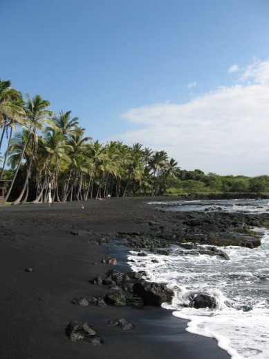Black sand and palms