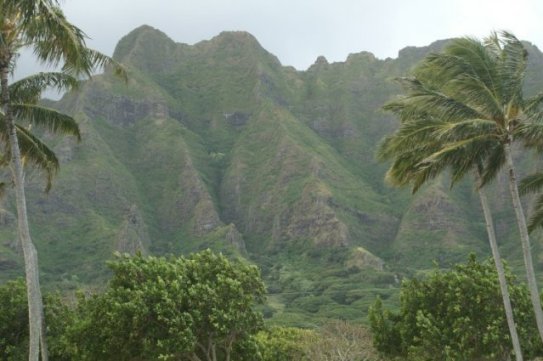 Jurassic Park?