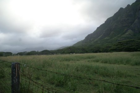 Mountains