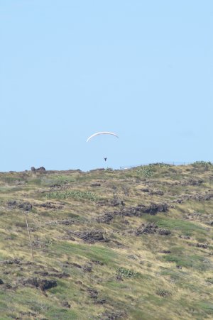 Parasail