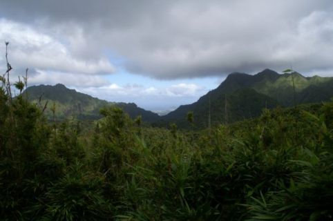Manoa Valley
