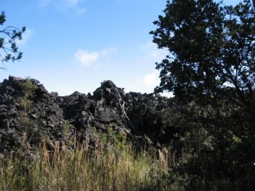 Edge of the lava flow