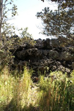 Edge of the lava flow