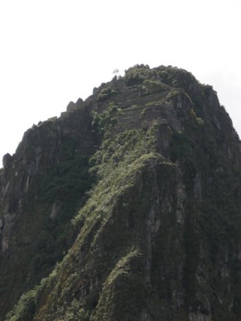Peak of Waynapicchu