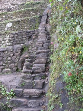 Steps up Waynapicchu