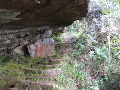 Overhang on the trail