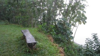 Bench near the cabin