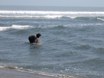 Huanchaco fisherman